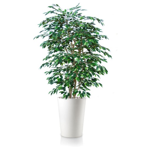 Planta semi-artificiala Ila, Ficus Exotica Boschetto Green - 180 cm